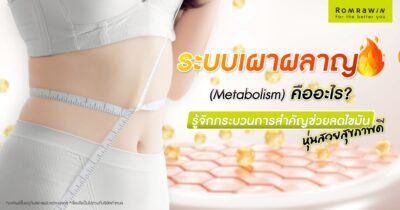 ระบบเผาผลาญ (Metabolism) คืออะไร?
