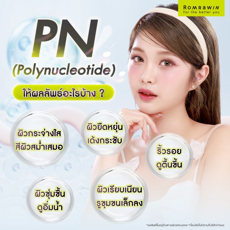 ผลลัพธ์ที่ได้จาก Polynucleotide (PN)
