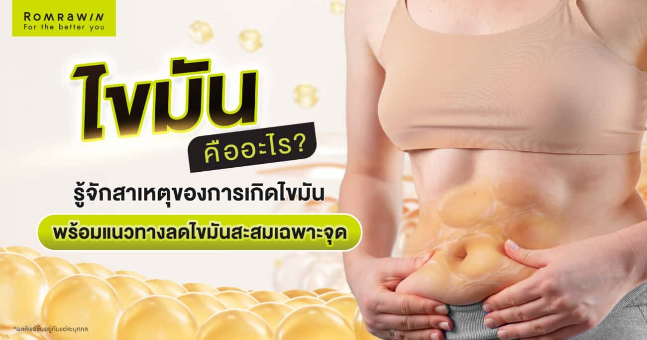 ไขมันคืออะไร