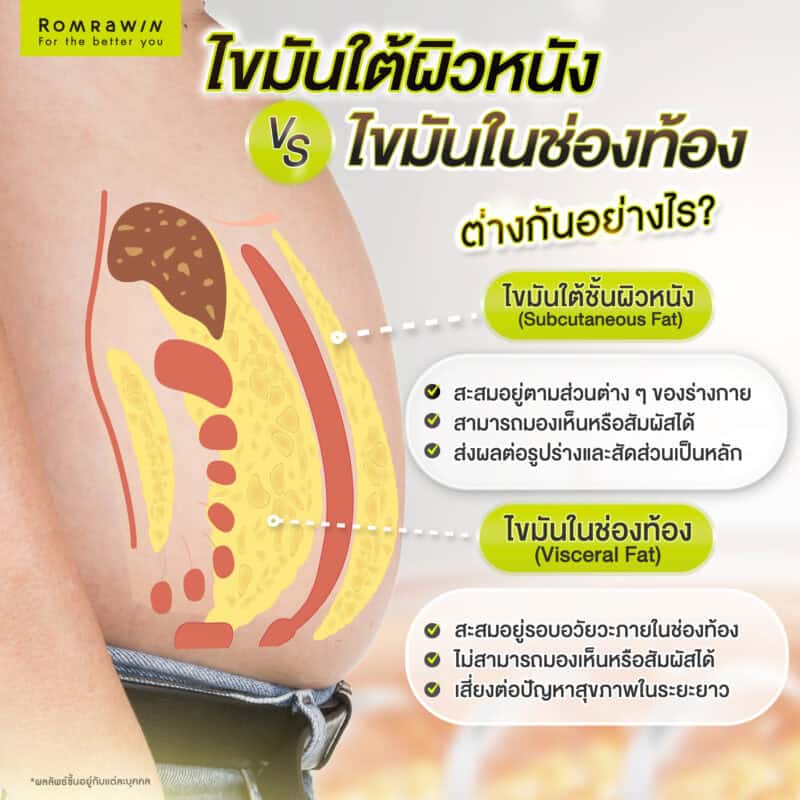 ไขมันมีกี่ประเภท ไขมันใต้ผิวหนัง และไขมันในช่องท้อง ต่างกันอย่างไร?