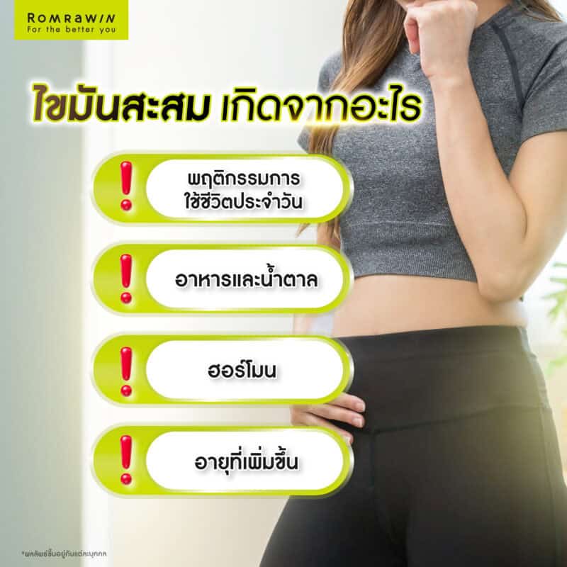 ไขมันสะสมเกิดจากอะไร