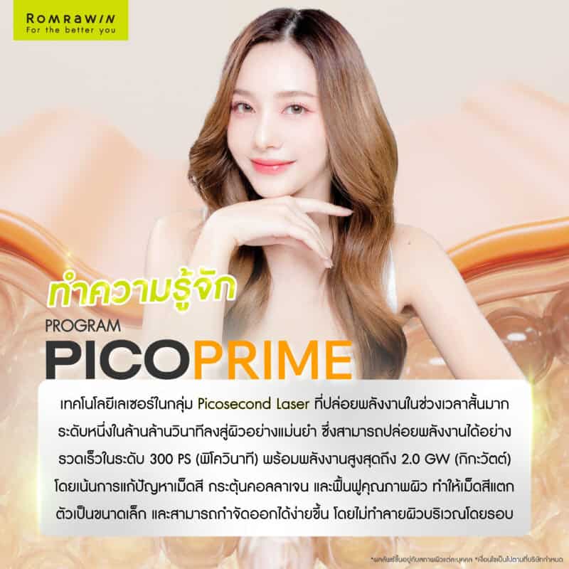 ทำความรู้จัก Pico Prime
