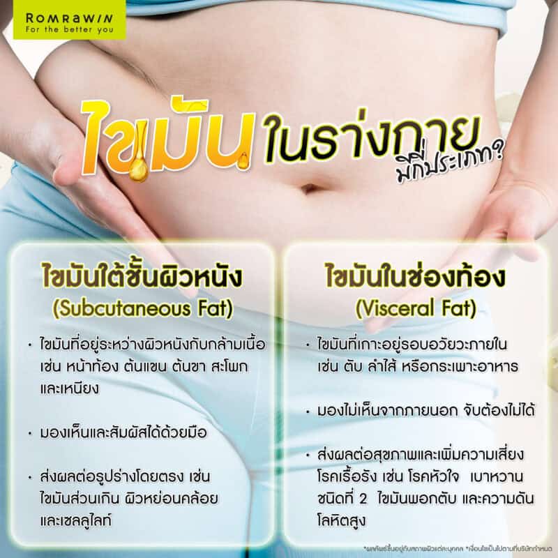 ไขมันในร่างกายมีกี่ประเภท?