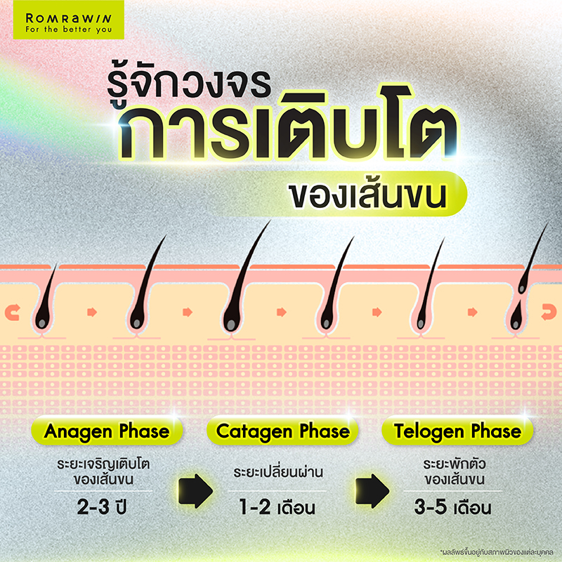 รู้จักวงจรการเติบโตของเส้นขน คืออะไร?