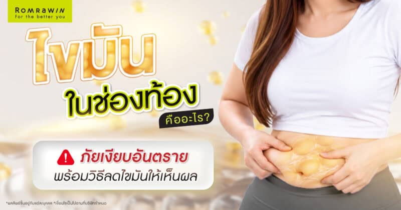 ไขมันในช่องท้อง